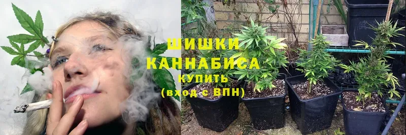 цены   MEGA tor  Бошки Шишки LSD WEED  Себеж 